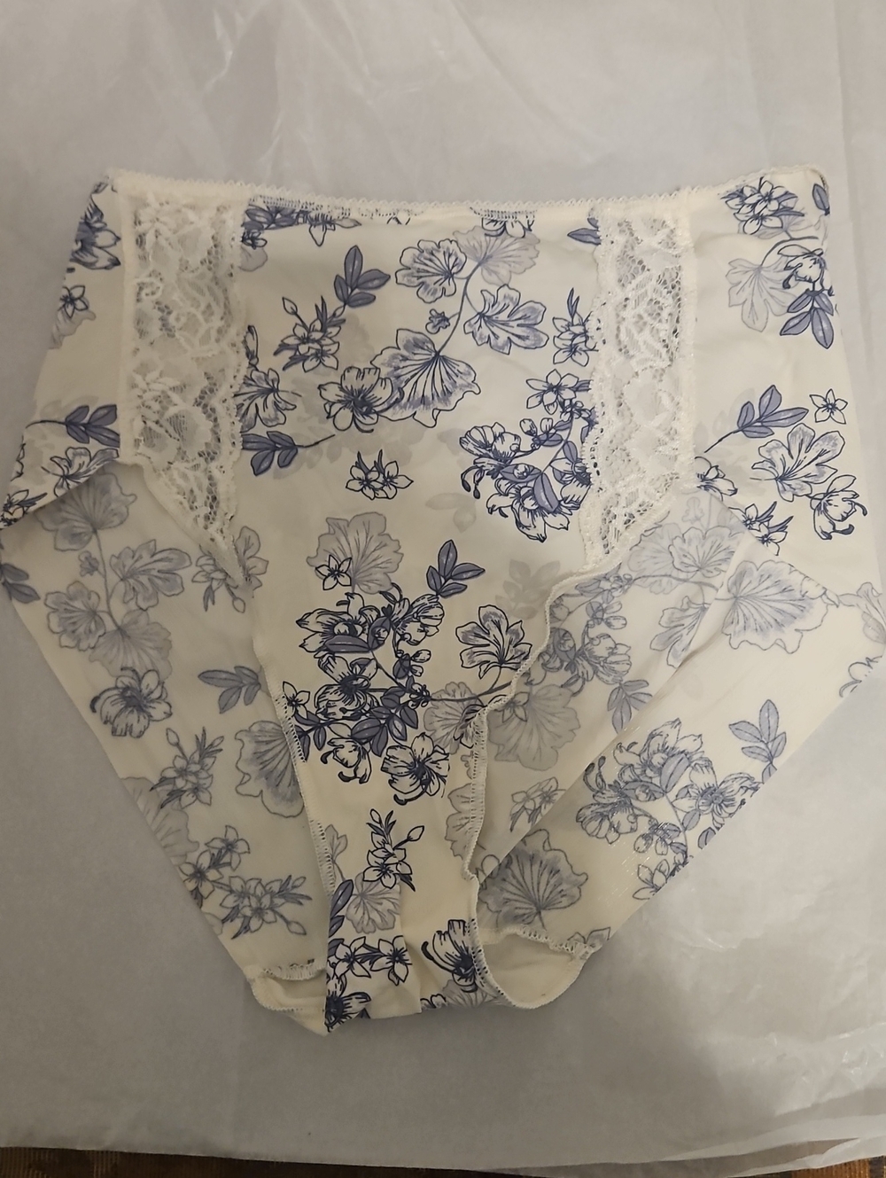 Soma Blue Floral Lace-Trim High-Cut Brief on Cream